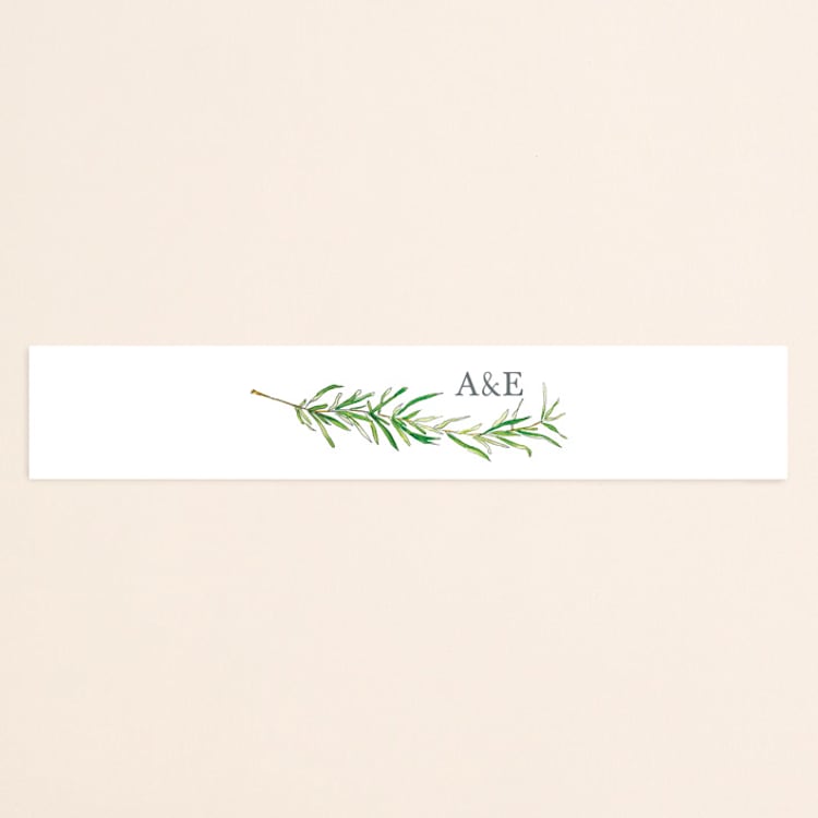"Simple Sprigs" - Belly Bands in Fern by Erin Deegan - Front