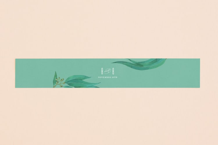 "Eucalyptus Leaves" - Belly Bands in Eucalyptus by Shannon Chen of Four Wet Feet Studio - Front