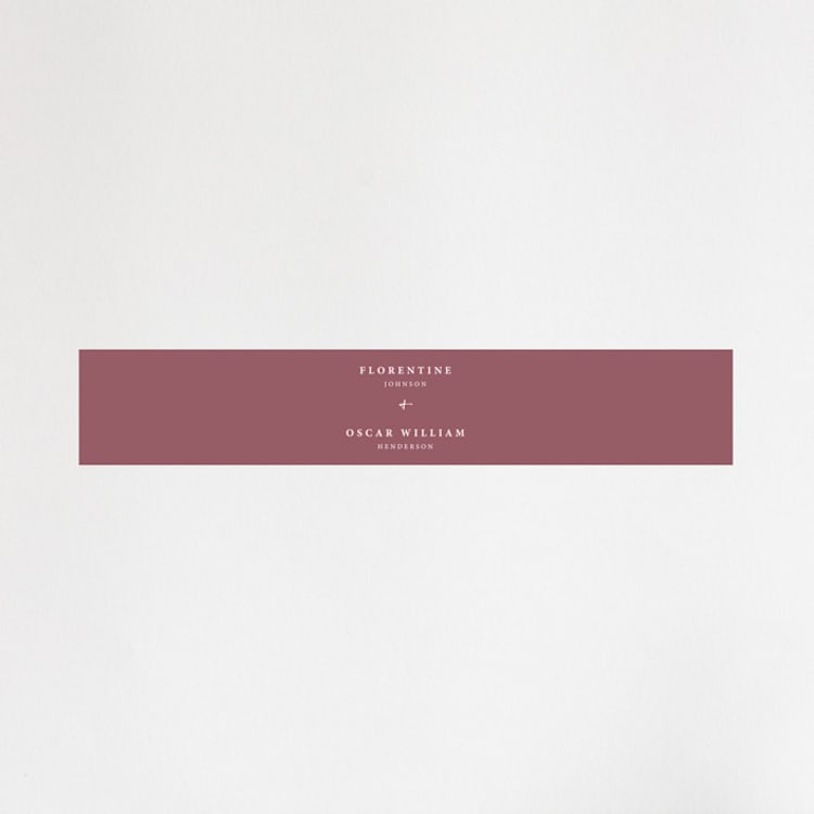 "Mod Brush" - Belly Bands in Blush by Lisa Fee Paura - Front