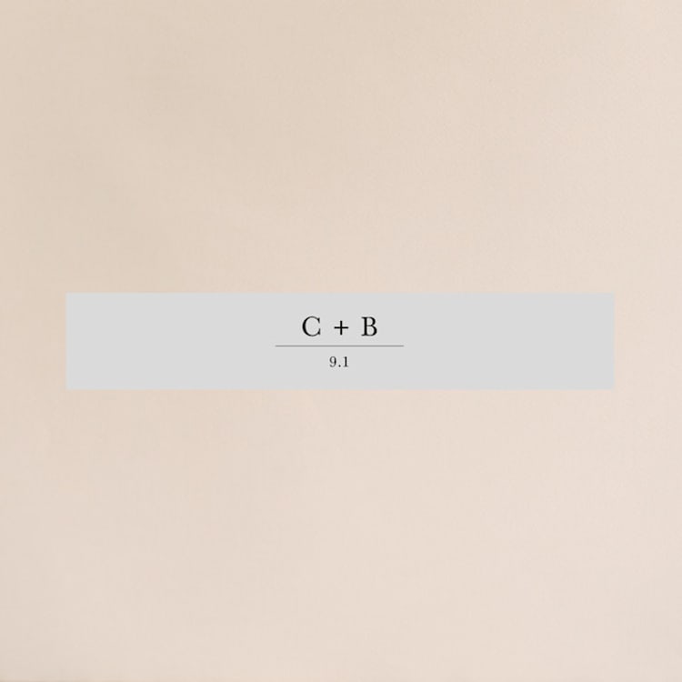 "Catherine" - Belly Bands in Natural by Studio Griffin - Front