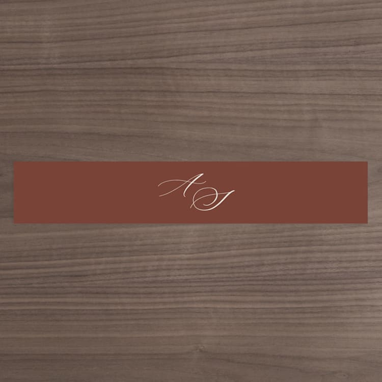 "Streamlined" - Belly Bands in Nutmeg by Nicole Barreto - Front