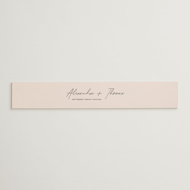 "Aesthetic" - Belly Bands in Blush by Liz Conley - Front