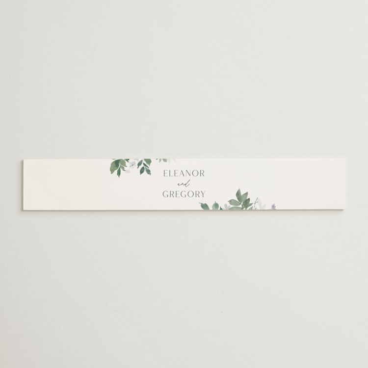 "Grove" - Belly Bands in Fern by Everett Paper Goods - Front