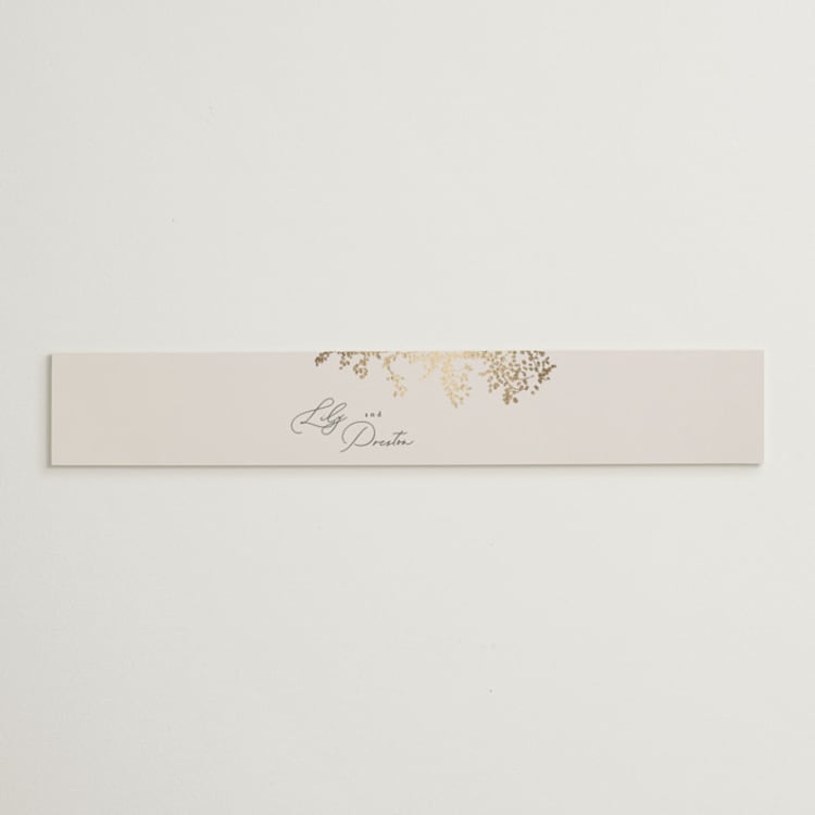 "forever and a day" - Belly Bands in Luxe Neutral by Design Lotus - Front