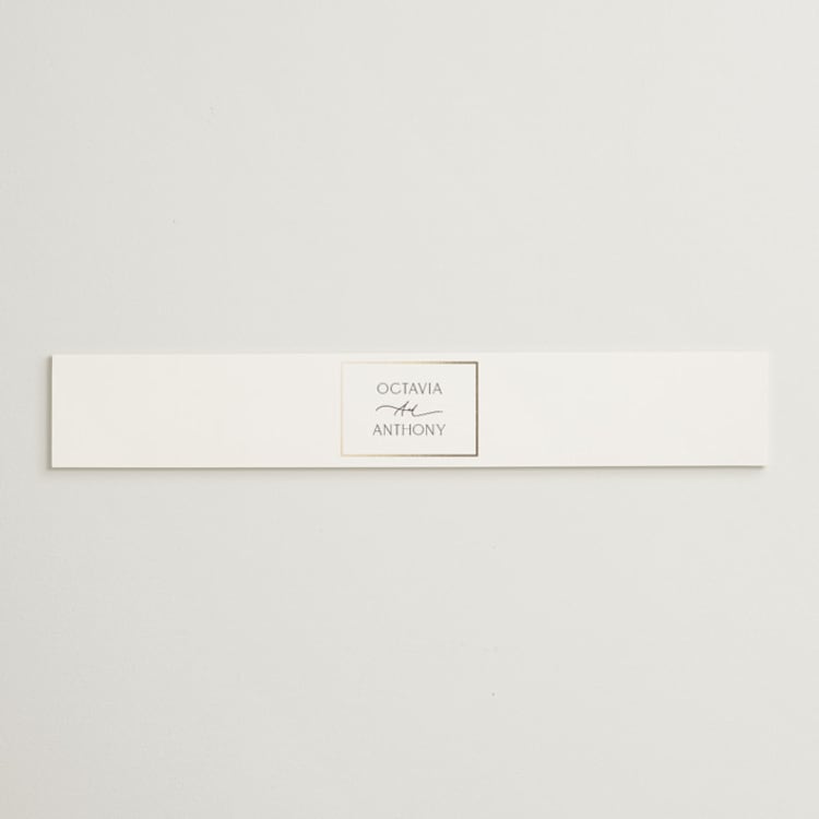 "Regal" - Belly Bands in Porcelain by Nicole Walsh - Front