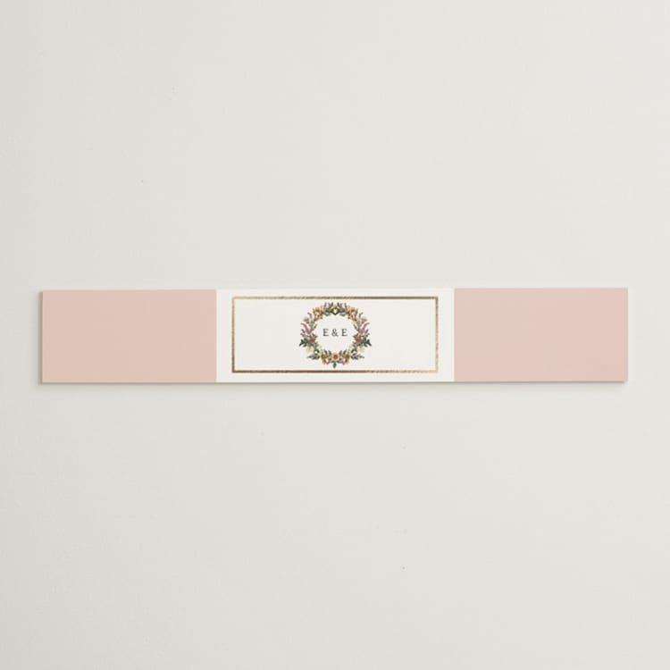 "Blooming Vine" - Belly Bands in Blush by Susan Moyal - Front
