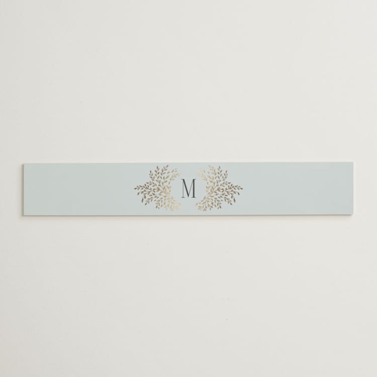 "Enchanted" - Belly Bands in Mist by Laura Hankins - Front