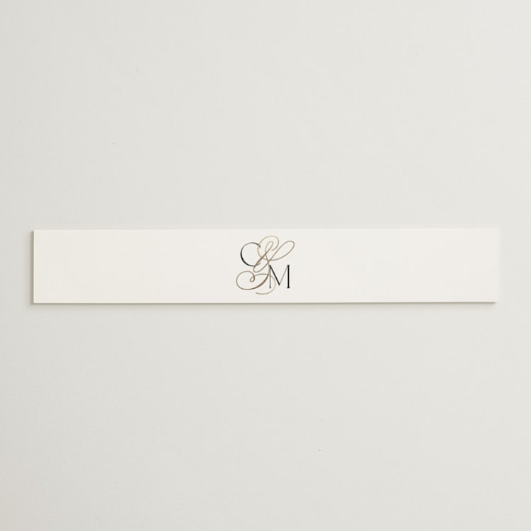 "Golden Ampersand" - Belly Bands in Silk by Kelly Schmidt - Front