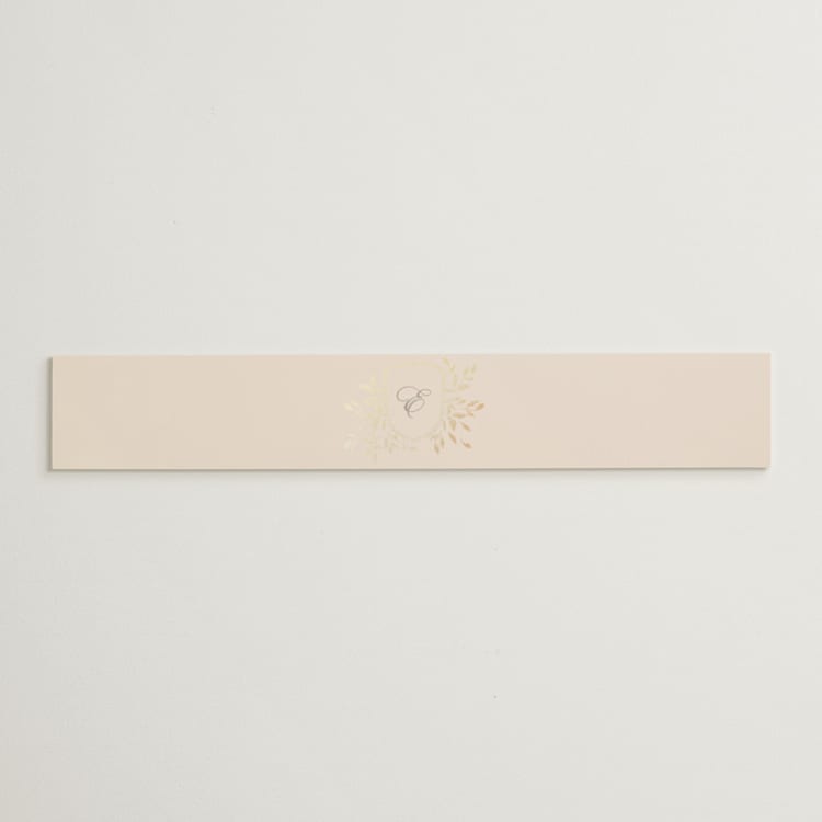 "Aperol" - Belly Bands in Chiffon by Kristie Kern - Front