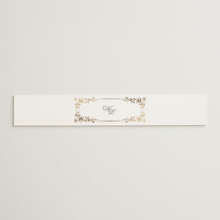 "Lake Como" - Belly Bands in Diamond by Kate Ahn - Front