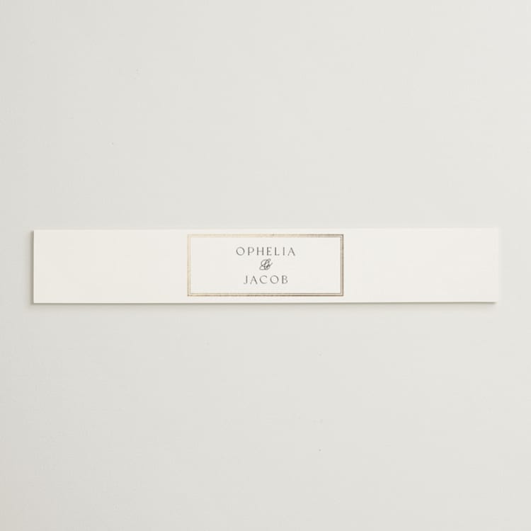 "Elegant Type" - Belly Bands in Pearl by Leah Bisch - Front
