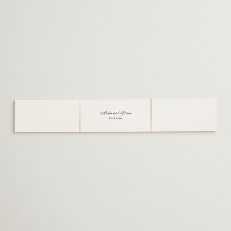 "Opulence" - Belly Bands in Pearl by Stacey Meacham - Front