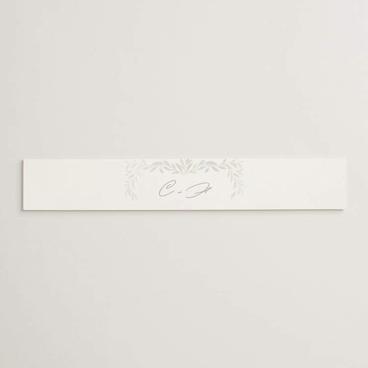 "Clarity" - Gloss-Press® Belly Bands in Cloud by Ana Claudia Sharpe - Front