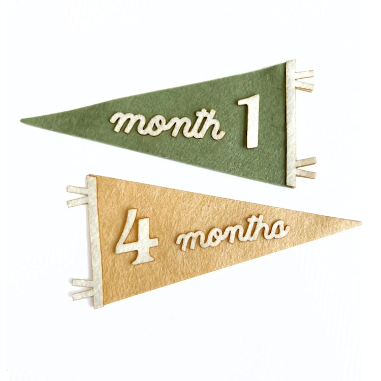"Custom Color - Pennant Flag Milestone Set" - Baby Milestone Signs in multicolorassorted-colors by Haven Print Co.