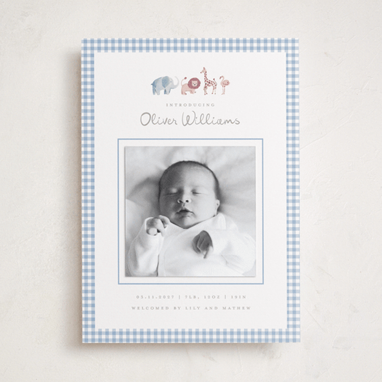 "Sweet Safari" - Birth Announcement Photo Mount Cards in Sky by Teju Reval - Front