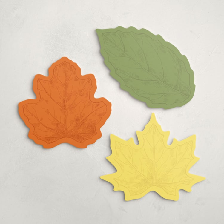 "Promenade (set of 12)" - Place Card Sets in Multi by Catilustre - Front