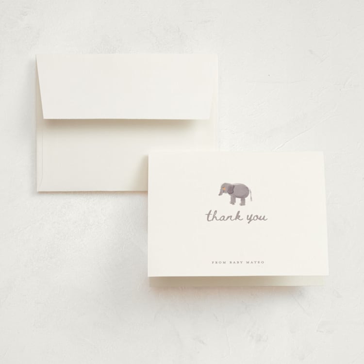 "Baby Safari" - Birth Announcement Thank You Cards in Milk by Gwen Bedat - Front