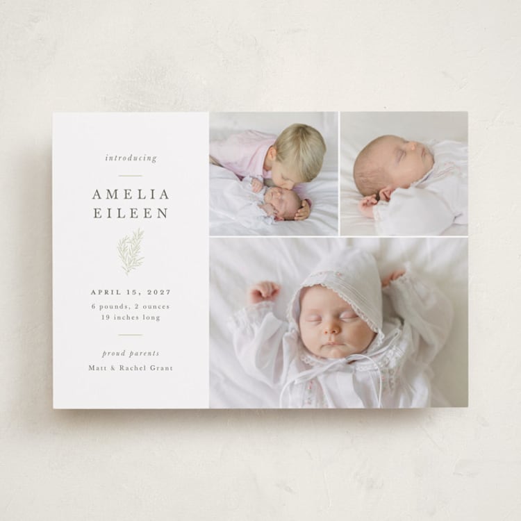 "Tiny Sprig" - Birth Announcements in Sage by Sarah Brown - Front