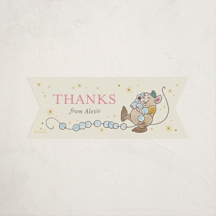 "Cinderella Storybook Birthday" - Children's Birthday Party Stickers in Teal by Three Wings North - Front
