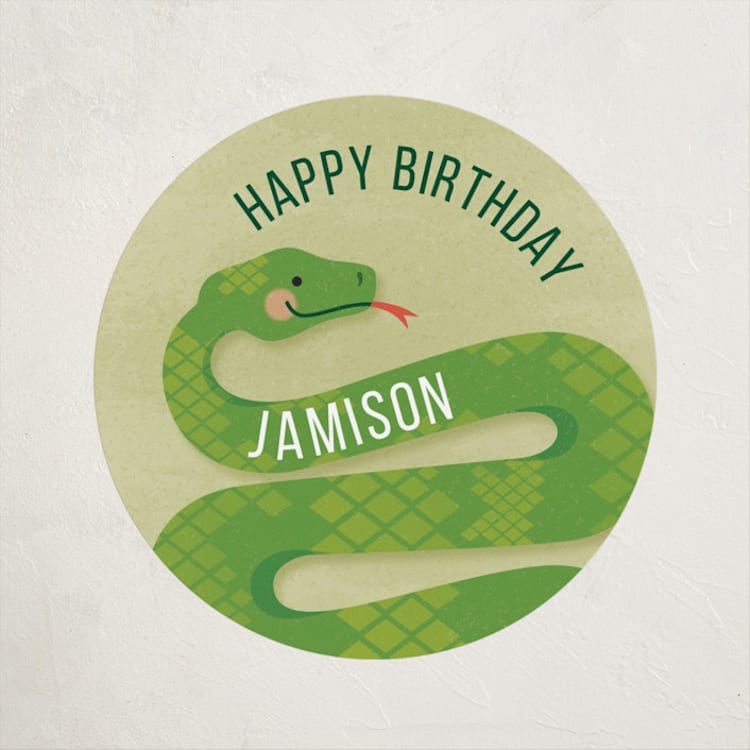 "Slithering Snake" - Children's Birthday Party Stickers in Grass by Jessica Ogden - Front