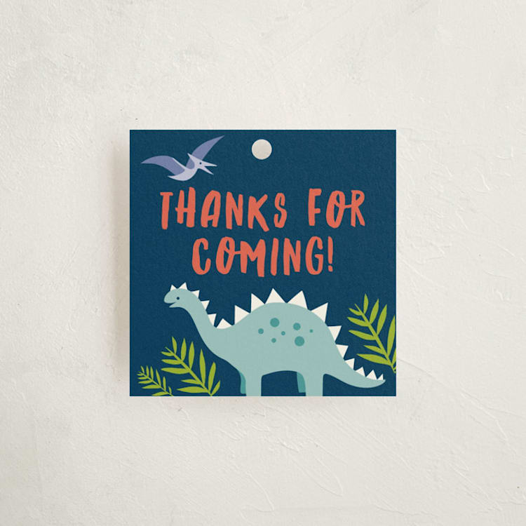"volcano blast" - Children's Birthday Party Favor Tags in Atlantic by Karidy Walker - Front