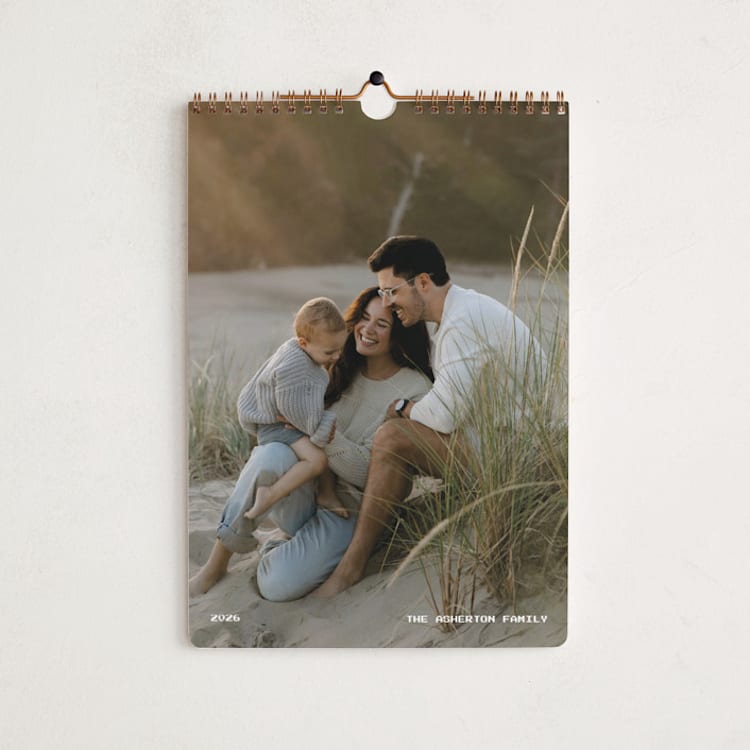"VHS" - Calendars in Screen by Lea Delaveris - Cover
