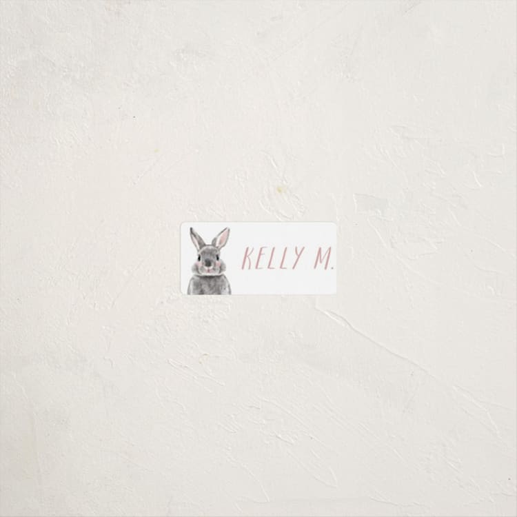 "Baby Animal Rabbit" - Custom Name Labels in Blush by Cass Loh - Front