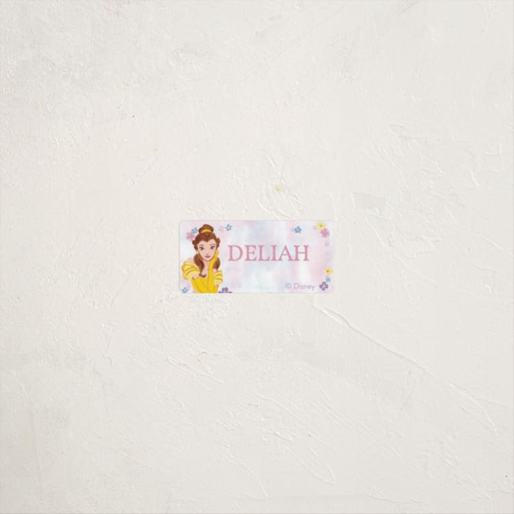 "Disney's Princess Portrait" - Custom Name Labels in Cotton Candy by Cass Loh - Front