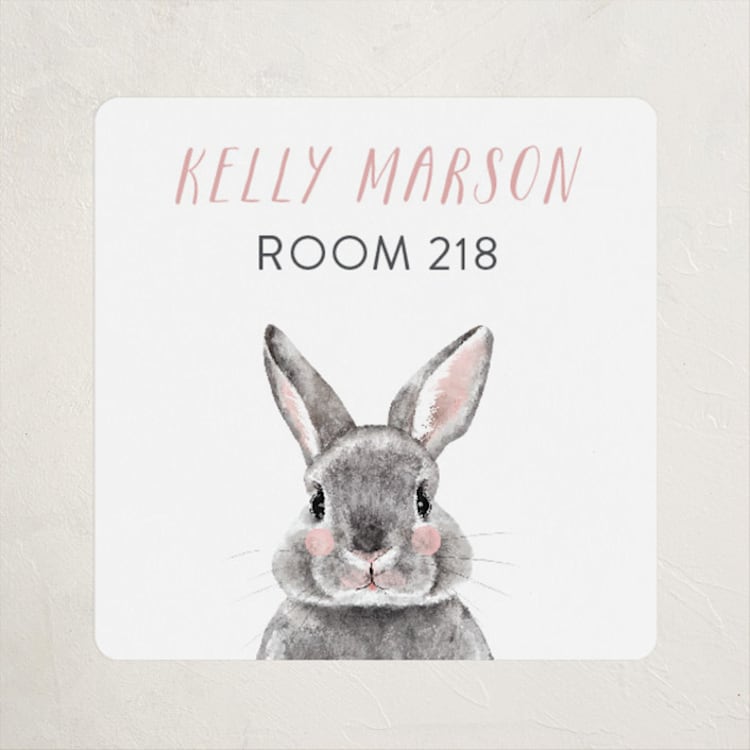 "Baby Animal Rabbit" - Custom Name Labels in Blush by Cass Loh - Front