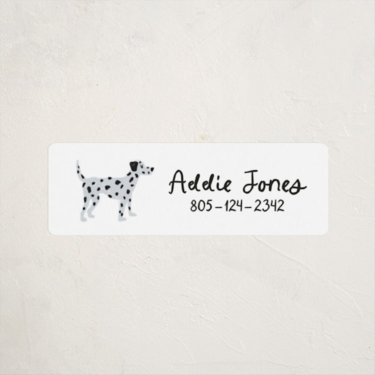 "Dalmation Pup" - Custom Name Labels in Tire by Laura Bercovich - Front