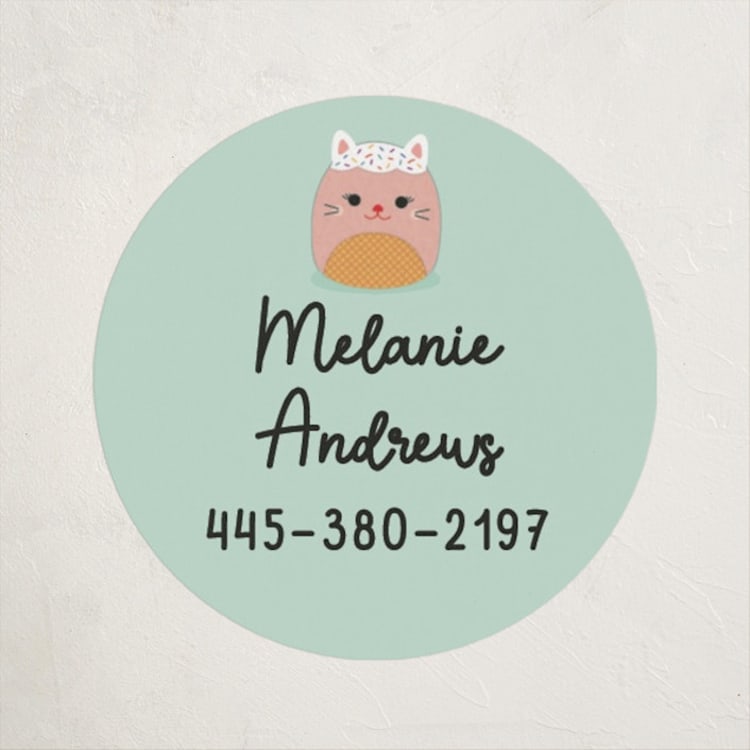 "Hugs & Squishes" - Custom Name Labels in Mint by Erica Krystek - Front