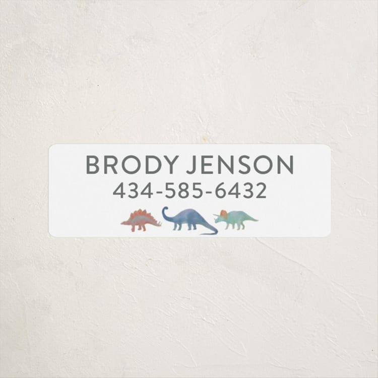 "Dinosaur Parade" - Custom Name Labels in Lagoon by Joanna Griffin - Front