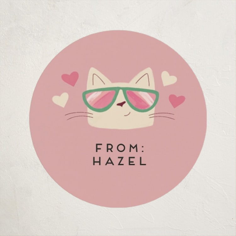 "You're a Cool Cat Valentine" - Custom Stickers in Peony by Kate Vories - Front
