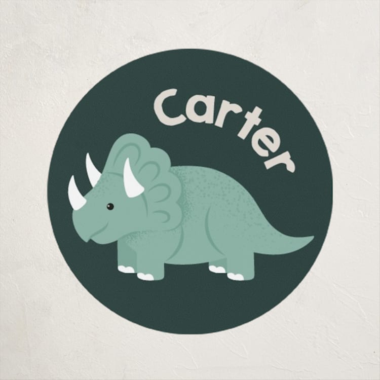 "TriceraTOPS Friend" - Custom Stickers in Everglade by Kacey Kendrick Wagner - Front