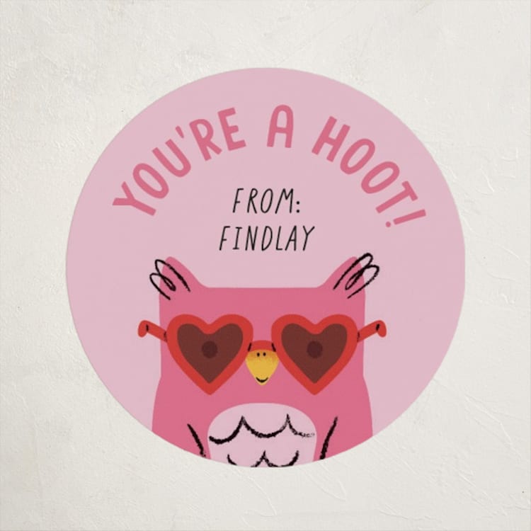 "Owl Be Your Pal" - Custom Stickers in Pinky by mo kelley - Front