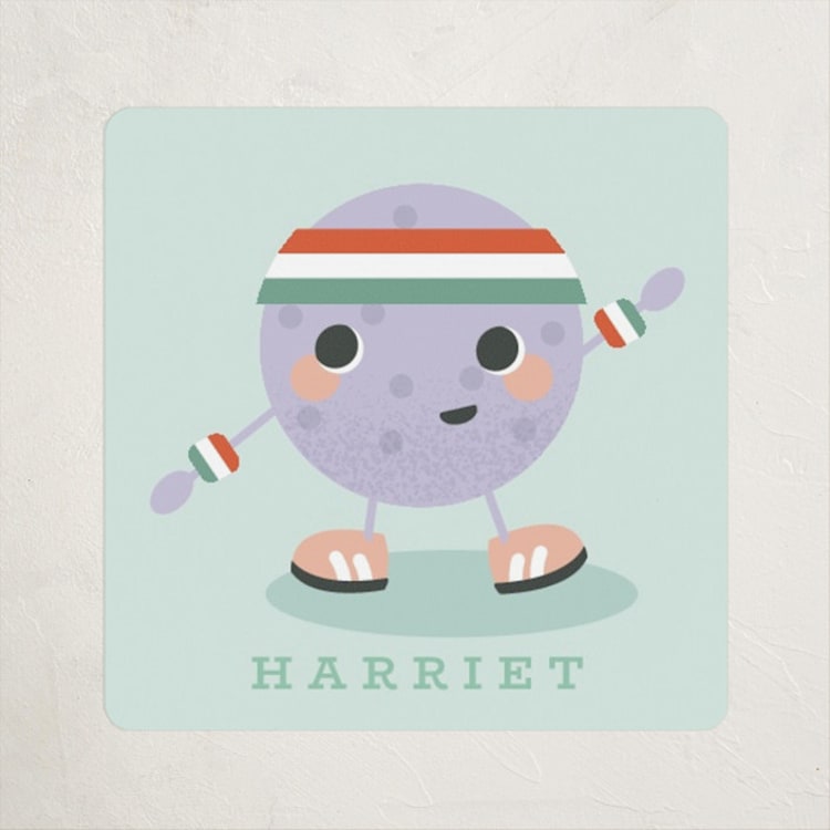 "Pickle Ball" - Custom Stickers in Mint by Hudson meet Rose - Front