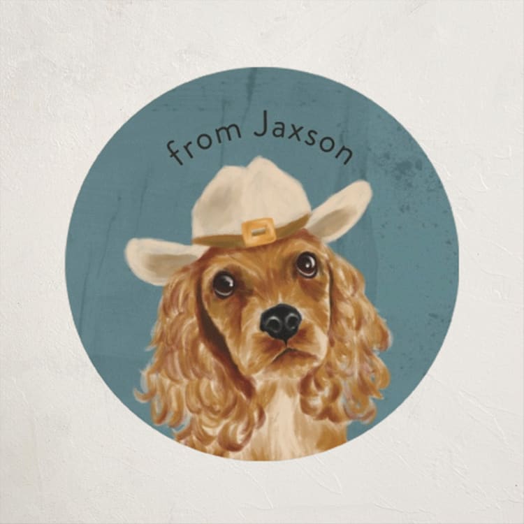 "Howdy Paw-tner" - Custom Stickers in Turquoise by Namibear Art Studio - Front