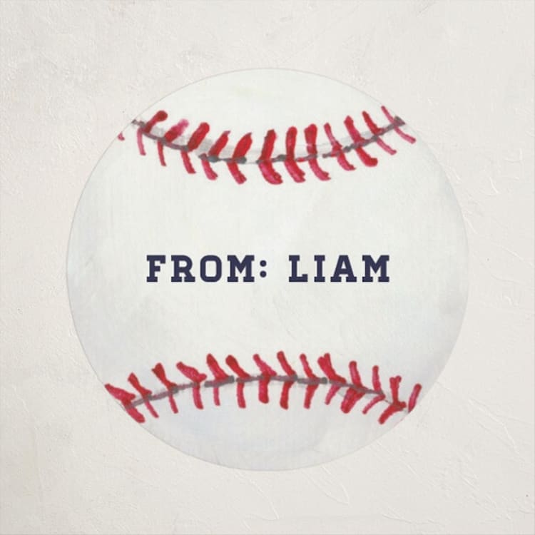 "Painted Baseball" - Custom Stickers in Slate by Holly Whitcomb - Front