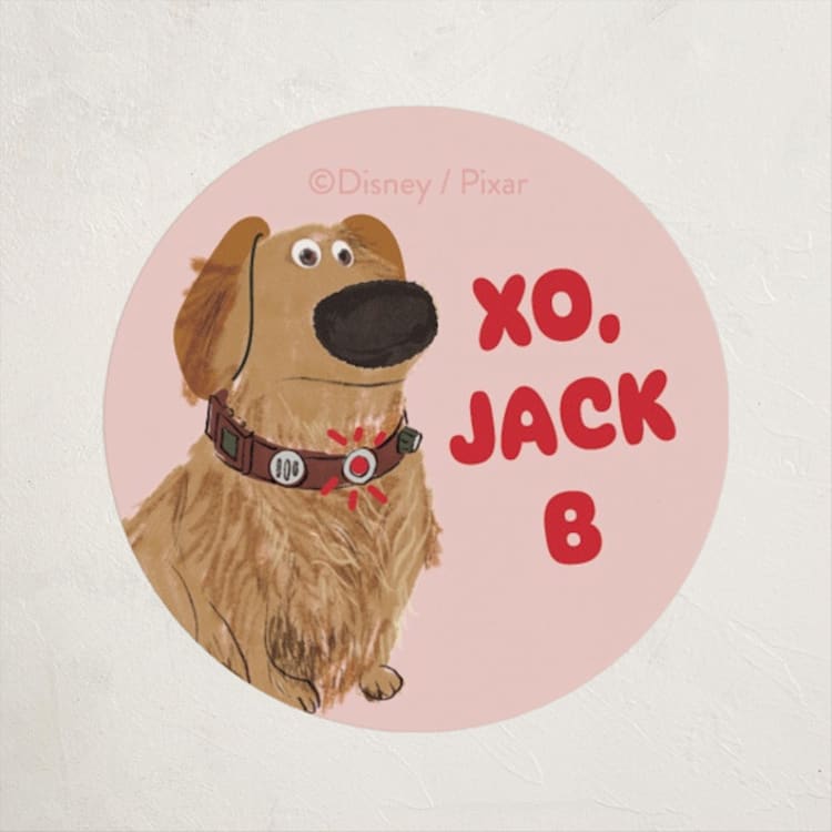 "Disney And Pixar's Dug" - Custom Stickers in Blush by Baumbirdy - Front
