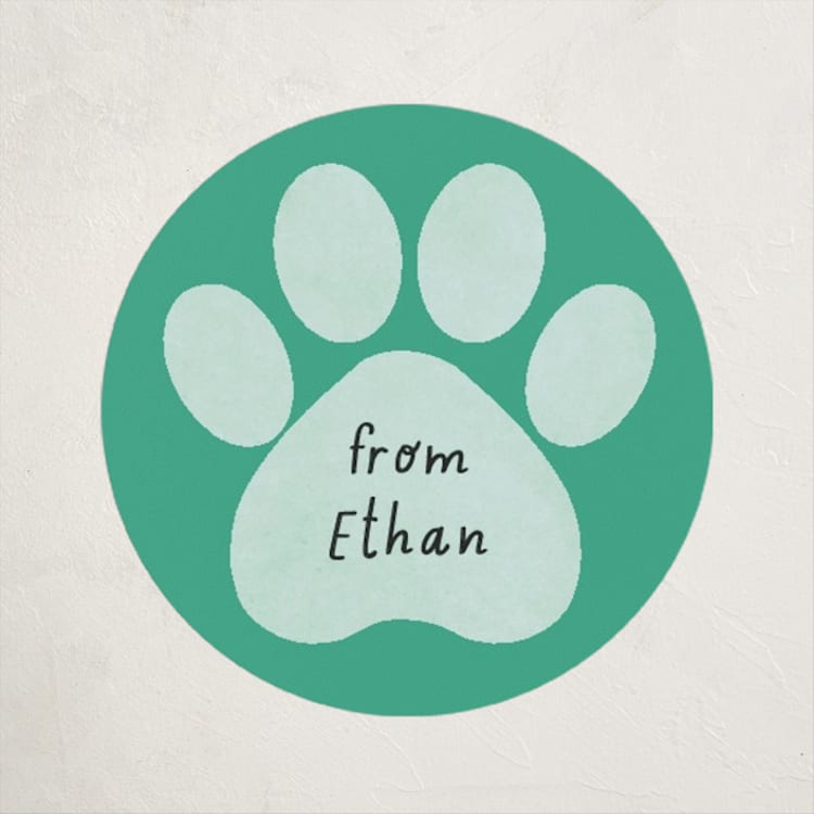 "Pawsitively Awesome" - Custom Stickers in Seafoam by Randi Cirelli - Front