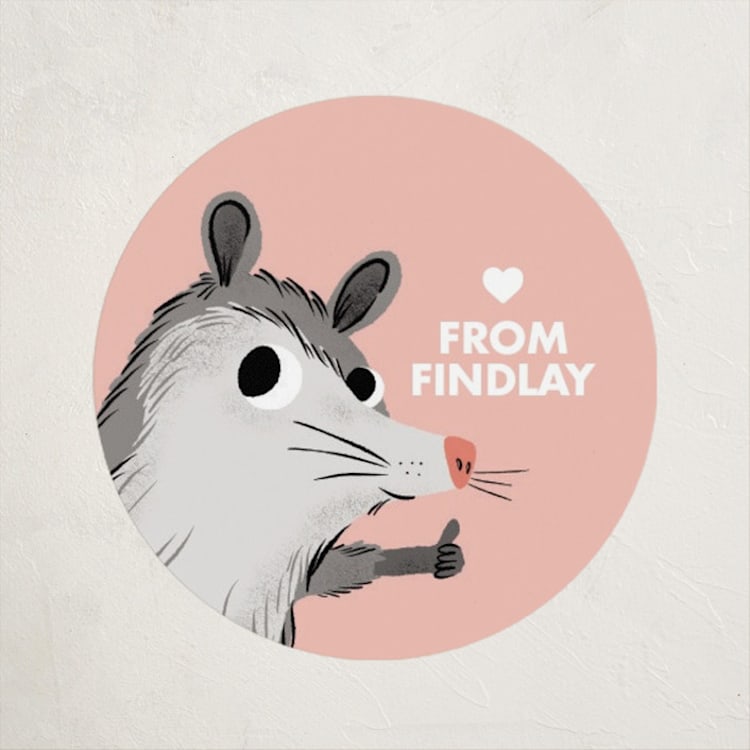 "Awesome Possum" - Custom Stickers in Rose by mo kelley - Front