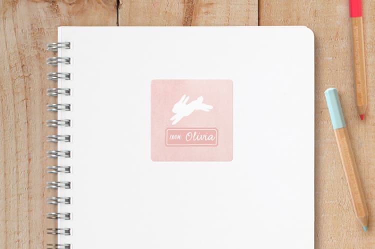 "Running Bunnies" - Custom Stickers in Salmon by Hooray Creative - Front