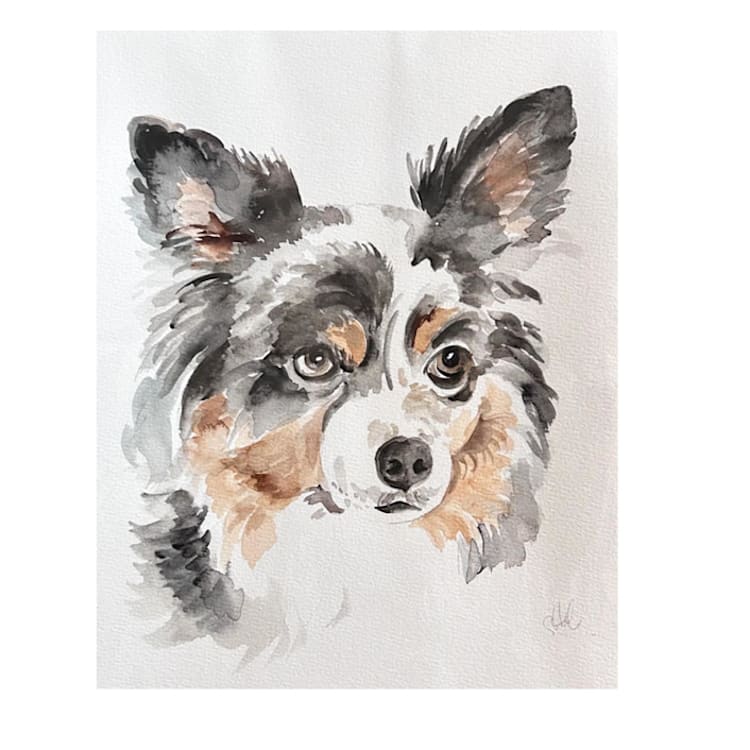 "Commission Pet Portrait/11x14 Watercolor" - Commissioned Original Painting in multicolorassorted-colors by Sarah Hall