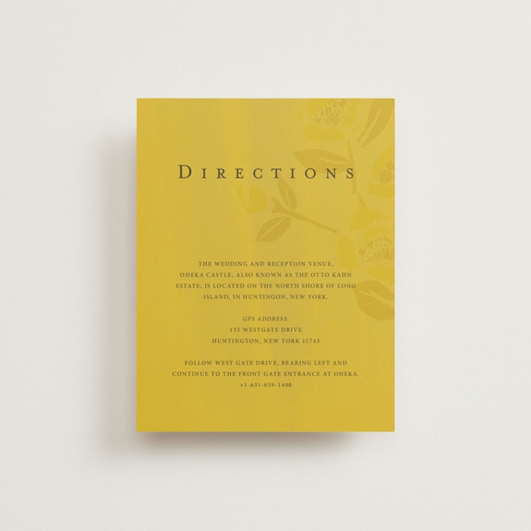 "sophia" - Direction Cards in Sunshine by Ani Somi - Front