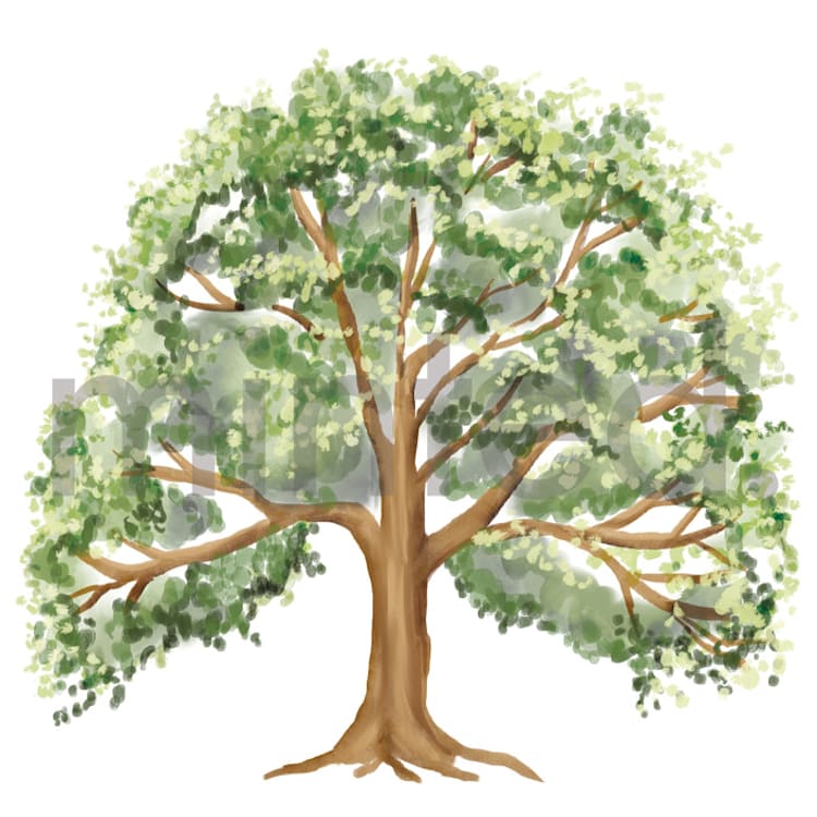 "Oak Tree" - Design Element in Leaf by Petra Kern - Front