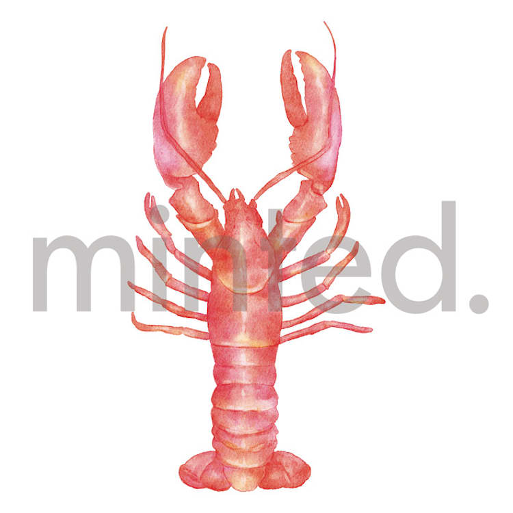 "lobster" - Design Element in Poppy by Elly - Front