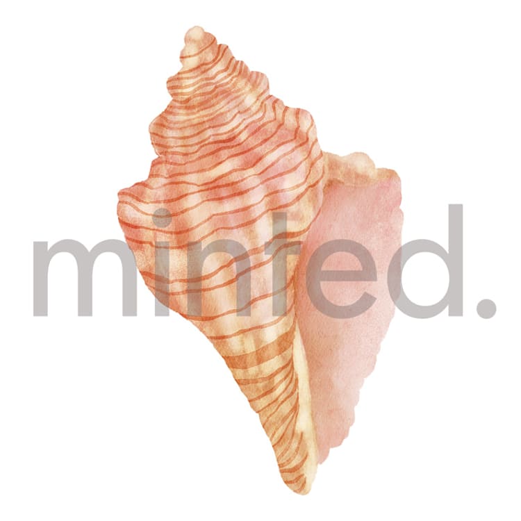 "Conch" - Design Element in Blush by Elly - Front