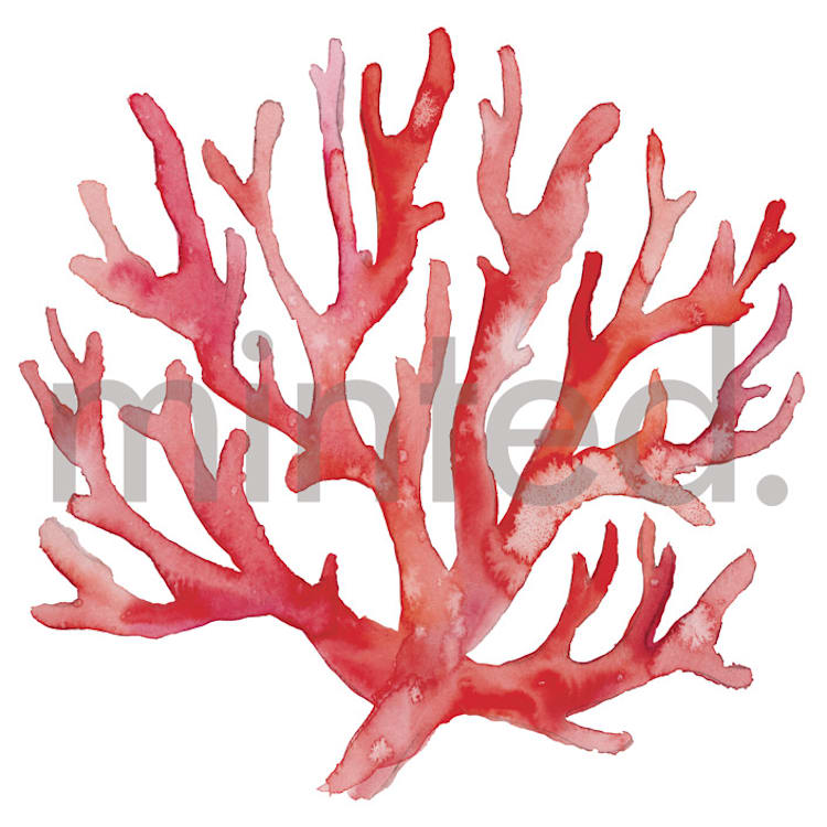 "Coral" - Design Element in Coral by Jenna Holcomb - Front