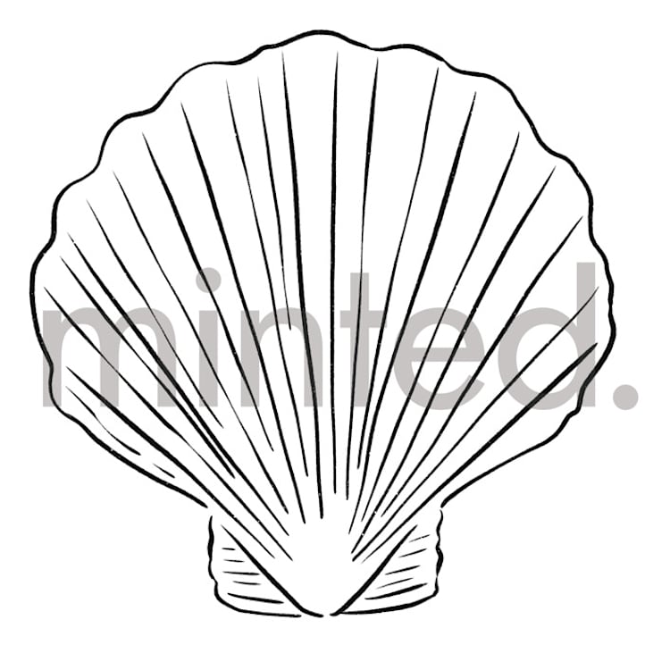 "Seashell" - Design Element in Shell by Shiny Penny Studio - Front