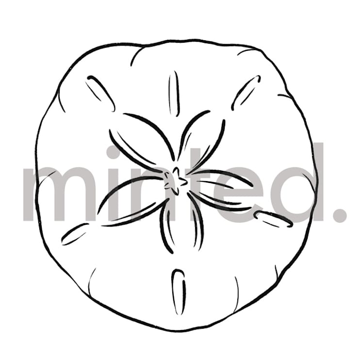 "Sand Dollar" - Design Element in Shell by Shiny Penny Studio - Front